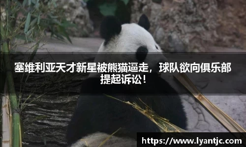塞维利亚天才新星被熊猫逼走，球队欲向俱乐部提起诉讼！