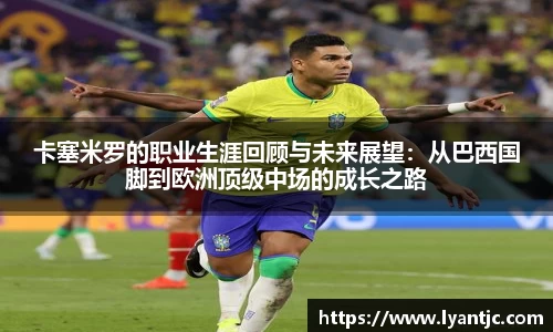 完美体育在线入口官网