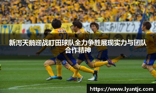 完美体育app下载安装