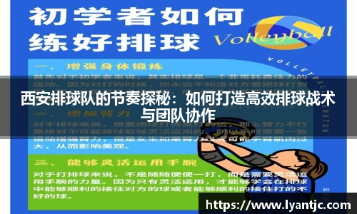 完美体育